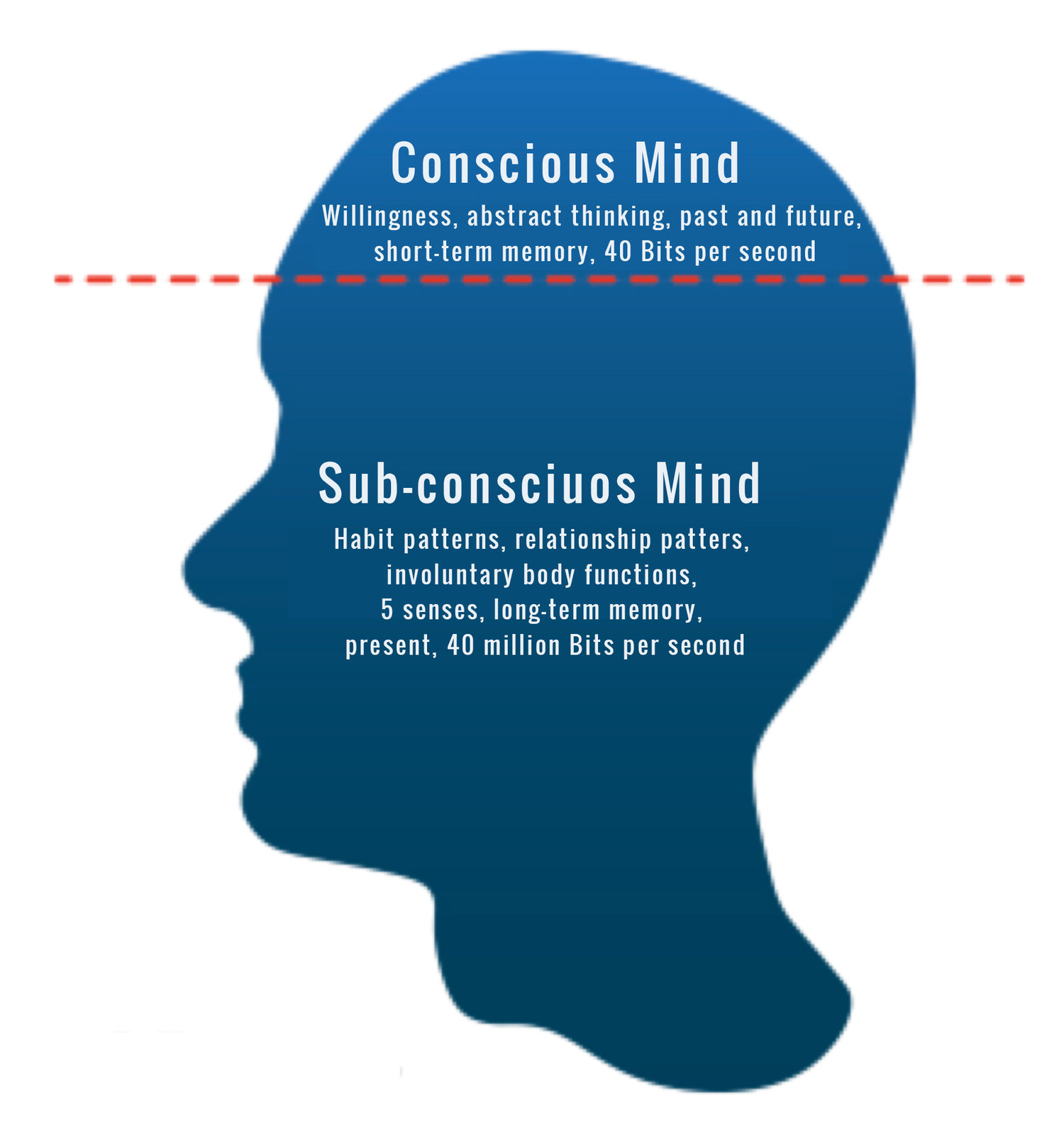 conscious mind ingles